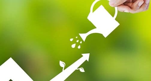 Young Companies Working Capital